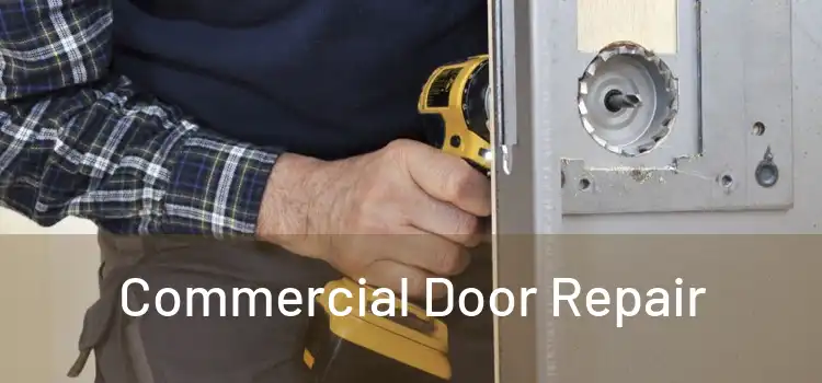Commercial Door Repair