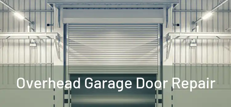  Overhead Garage Door Repair 